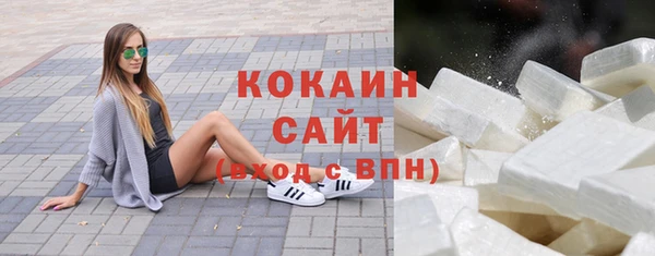 твердый Алексин