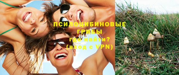 твердый Алексин