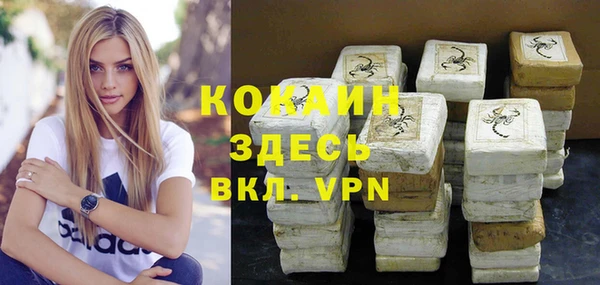 твердый Алексин