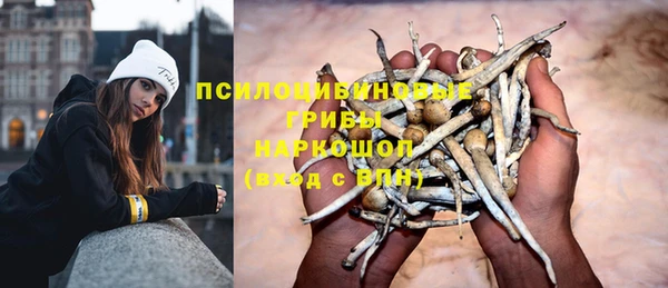 ECSTASY Абдулино