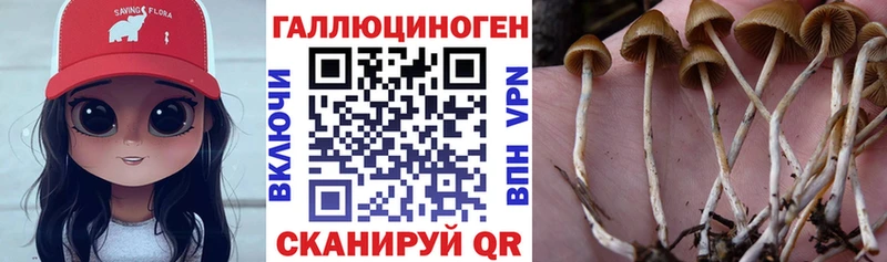 Псилоцибиновые грибы Magic Shrooms  Духовщина 